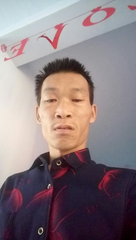 向阳的第一张照片--蓝颜知己交友网