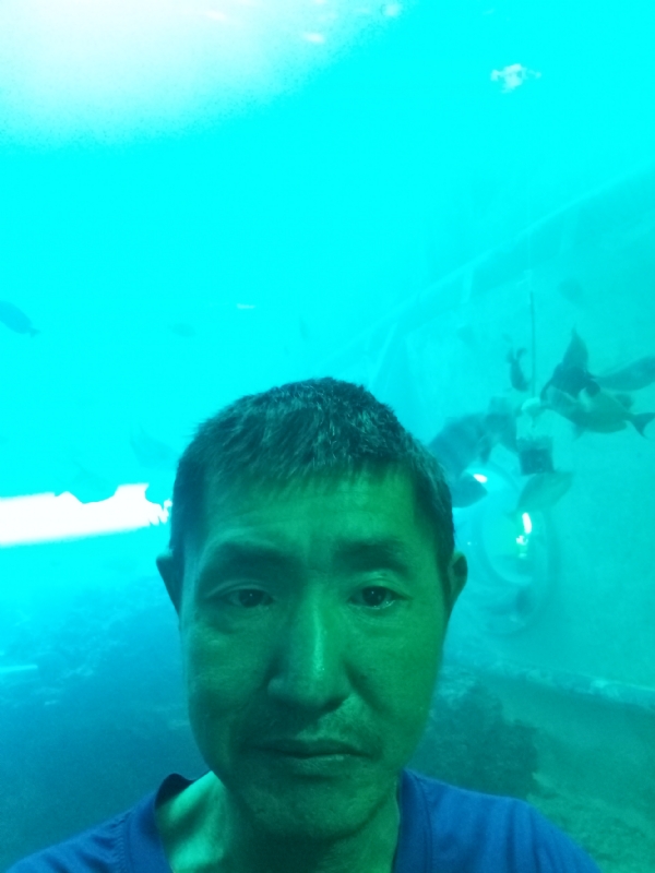 陸戰隊的第一张照片--蓝颜知己交友网