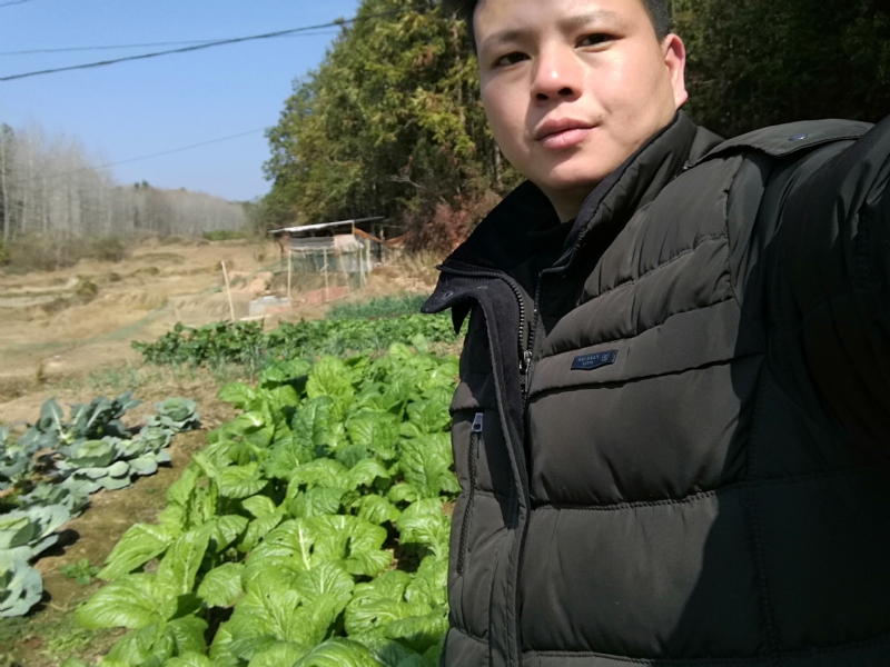 倔强的驴的第一张照片--蓝颜知己交友网
