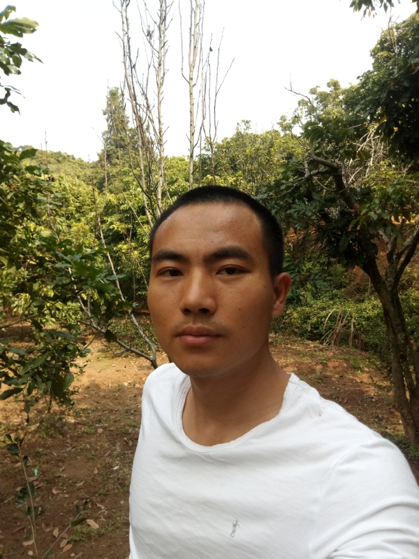 简单的第一张照片--蓝颜知己交友网