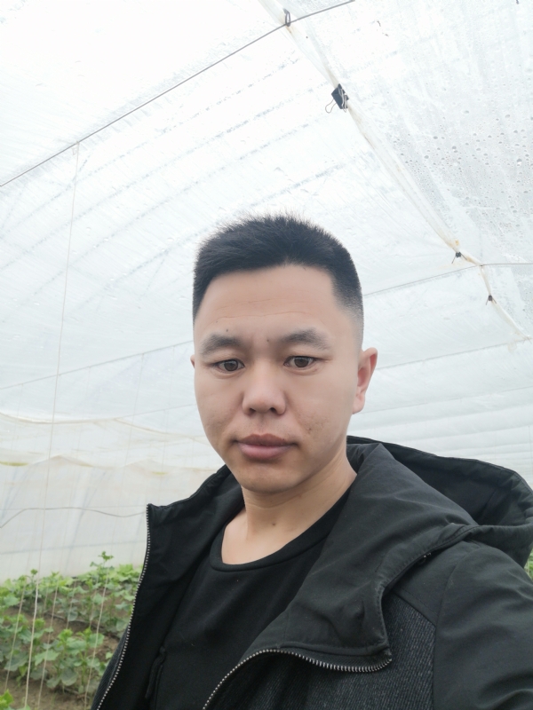 宇成的第二张照片--蓝颜知己交友网