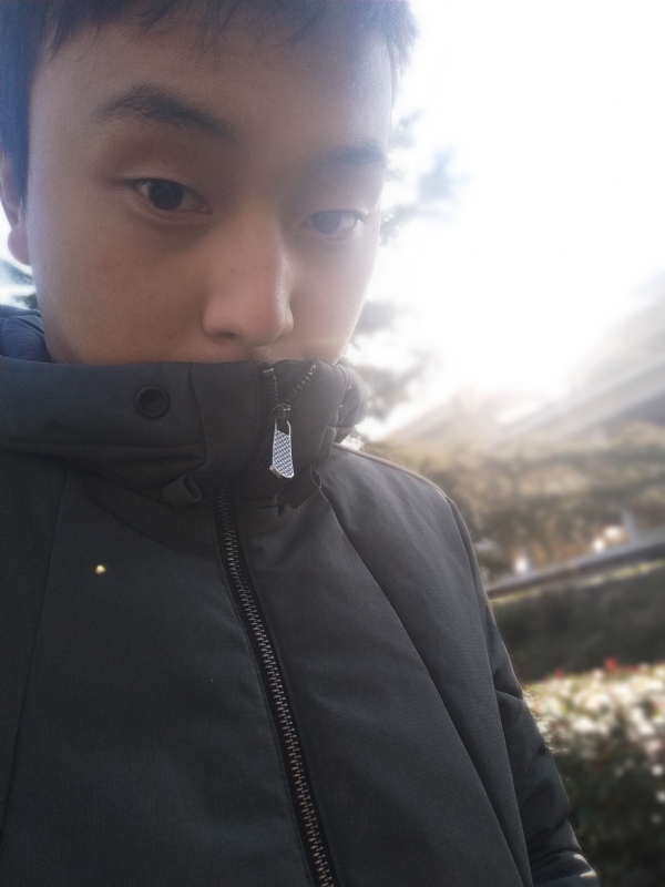 落幕的第一张照片--蓝颜知己交友网