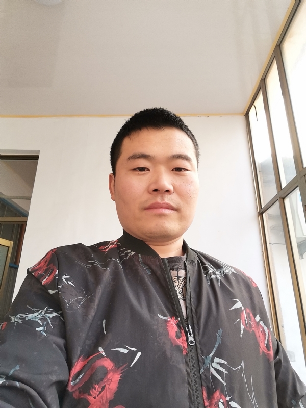 会飞的猪的第一张照片--蓝颜知己交友网