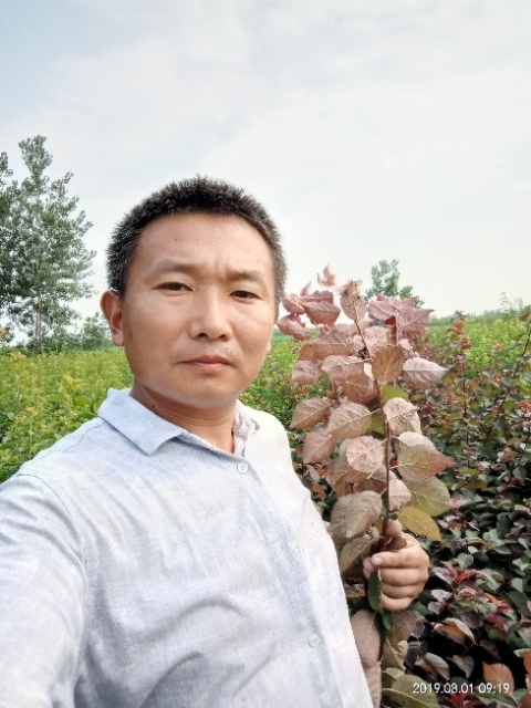 孩子爸的第一张照片--蓝颜知己交友网