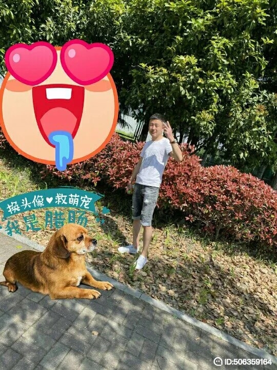 我若不坚强谁替我勇敢的第五张照片--蓝颜知己交友网