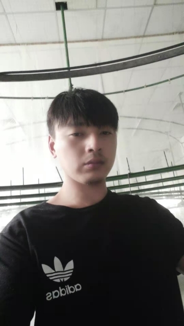 久鑫的第一张照片--蓝颜知己交友网