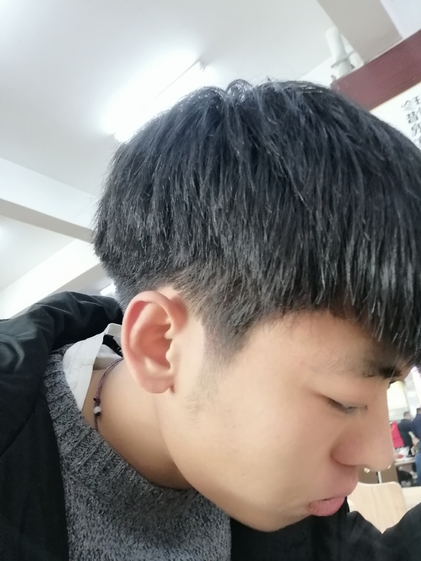 花开落叶之后的第一张照片--蓝颜知己交友网