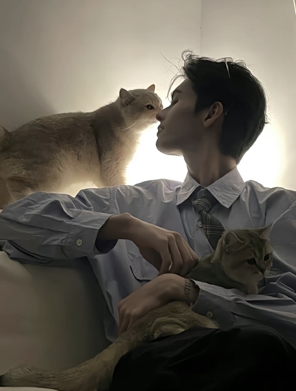 怪猫的第一张照片--蓝颜知己交友网